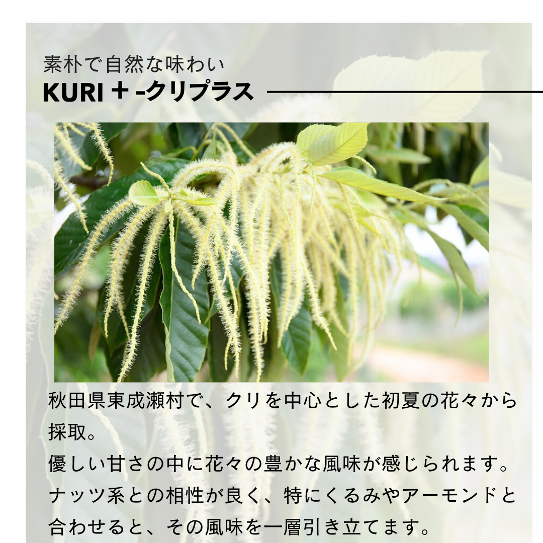 【お得な2本セット】300g×2本