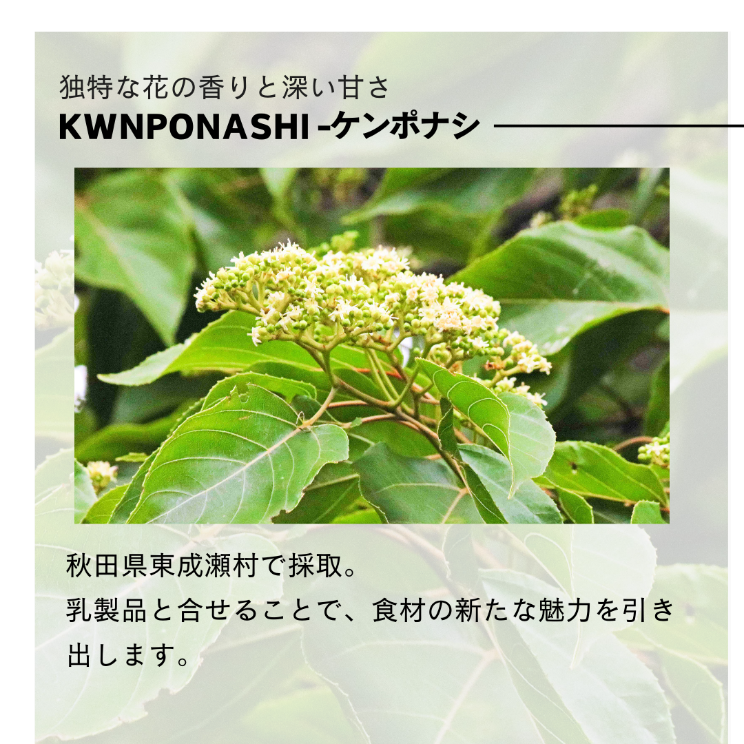 【お得な2本セット】300g×2本