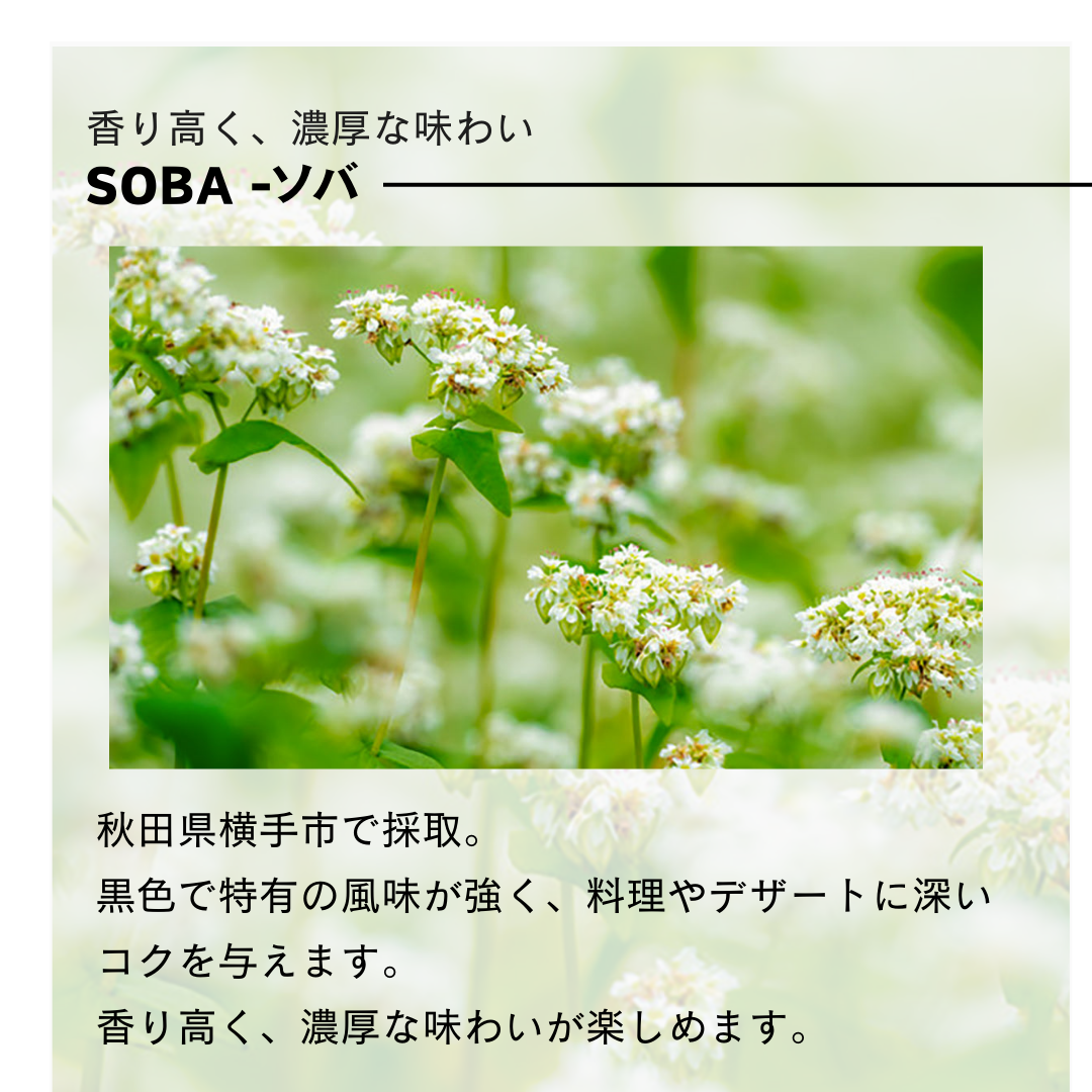 【お得な2本セット】300g×2本